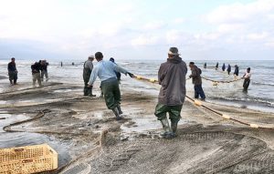 تولید کننده تور ماهیگیری نایلونی در مازندران